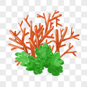 橙色珊瑚丛图片