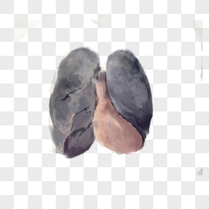 污染的肺图片
