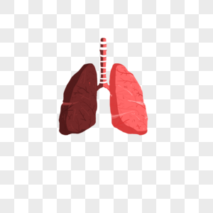 被污染的肺图片
