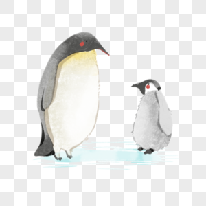 手绘亲子企鹅图片