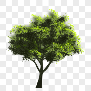 世界环境日 树木图片