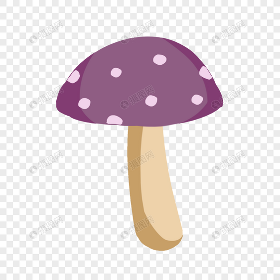 紫色鲜菇图片