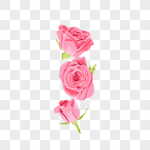 粉色玫瑰花三朵免抠元素元素素材下载 正版素材 摄图网