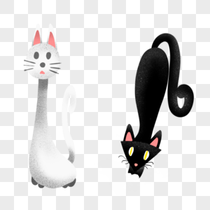 可爱黑白猫咪组合高清图片