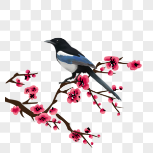 小鸟和梅花大树枝条小鸟高清图片
