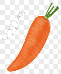 蔬菜果类元素胡萝卜图片