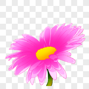 粉色水彩野菊花图片