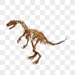 恐龙骨骼化石免抠元素高清图片
