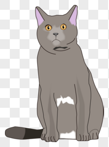 灰色可爱猫咪蓝猫卡通动物图片