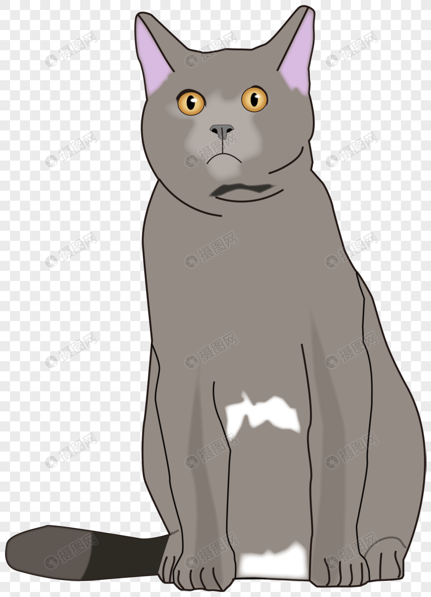 灰色可爱猫咪蓝猫卡通动物