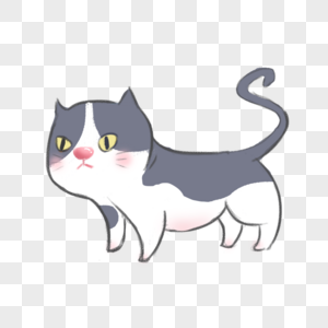 蓝白英短猫儿童插画家养猫高清图片