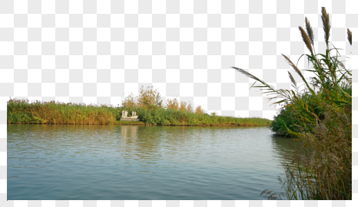 泗洪洪泽湖湿地公园高清图片