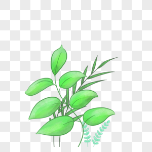 手绘小清新植物叶子png免抠素材图片