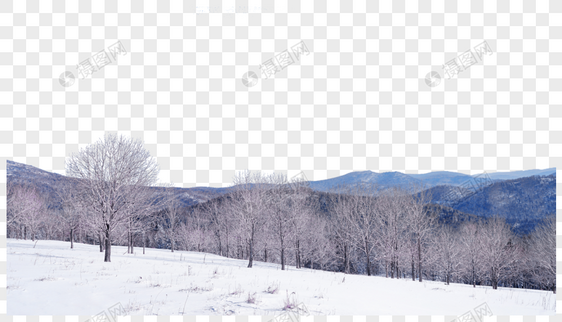 东北雪乡森林图片