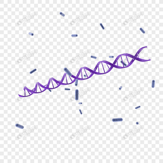 医疗DNA链条图片