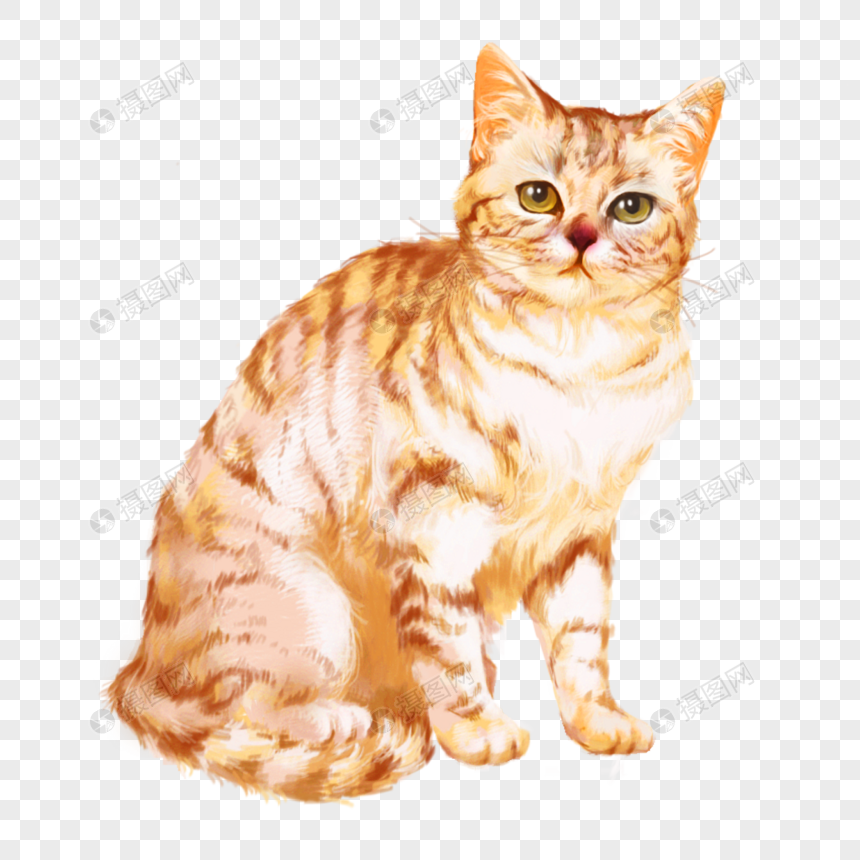 猫咪黄猫橘猫可爱宠物元素图片
