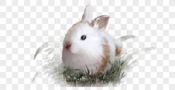 兔子白兔宠物动物可爱草地手绘元素图片