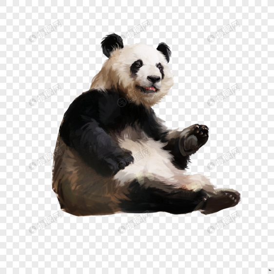 熊猫国宝可爱动物手绘萌元素图片
