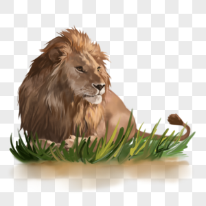 狮子动物猛兽森林之王凶猛手绘元素图片