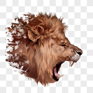 狮子怒吼碎片咆哮动物凶猛手绘元素图片