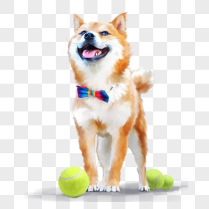 柴犬狗可爱球网球玩耍元素手绘图片