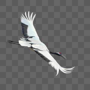 仙鹤鸟长寿鹤仙人神话传说飞翔动物手绘元素图片