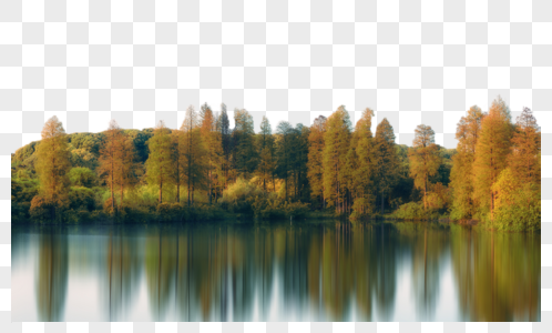秋天湖边树林倒影高清图片