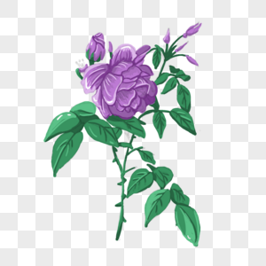 手绘紫色花朵图片