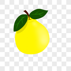 一大颗黄澄澄的柚子图片