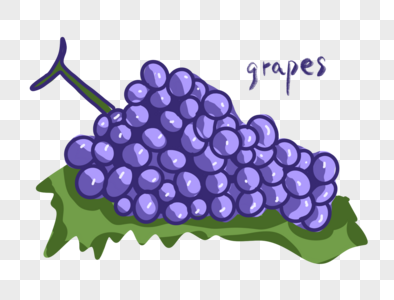 葡萄水果元素图片