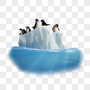 冰岛的企鹅图片