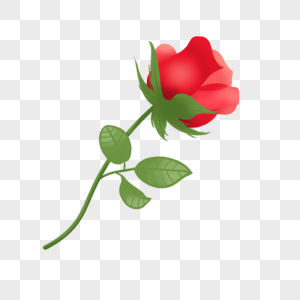 情人节手绘玫瑰花高清图片
