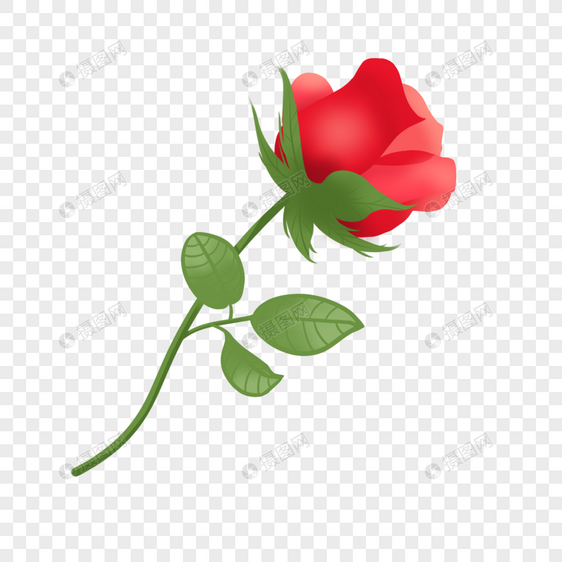 情人节手绘玫瑰花图片