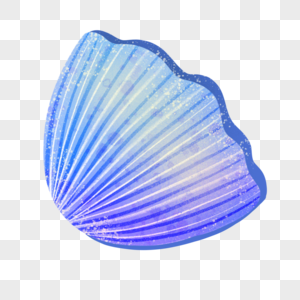 世界海洋日海贝壳图片