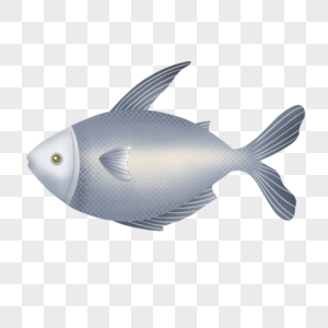 世界海洋日海洋动物鱼图片