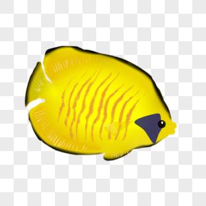 黄色海鱼图片