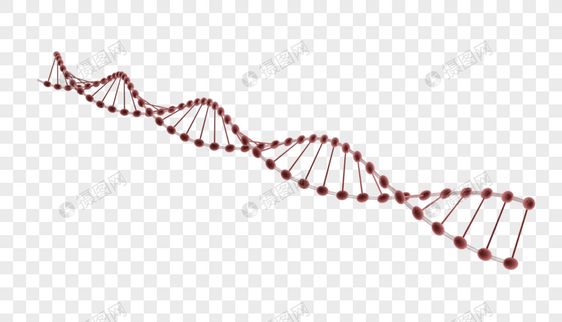 DNA基因链条图片