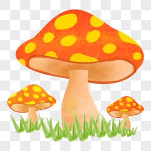 小蘑菇童话森林高清图片