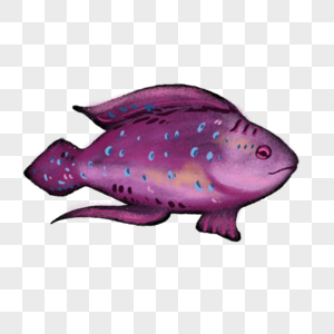 卡通紫色鱼类插图图片