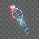 彩色DNA图片