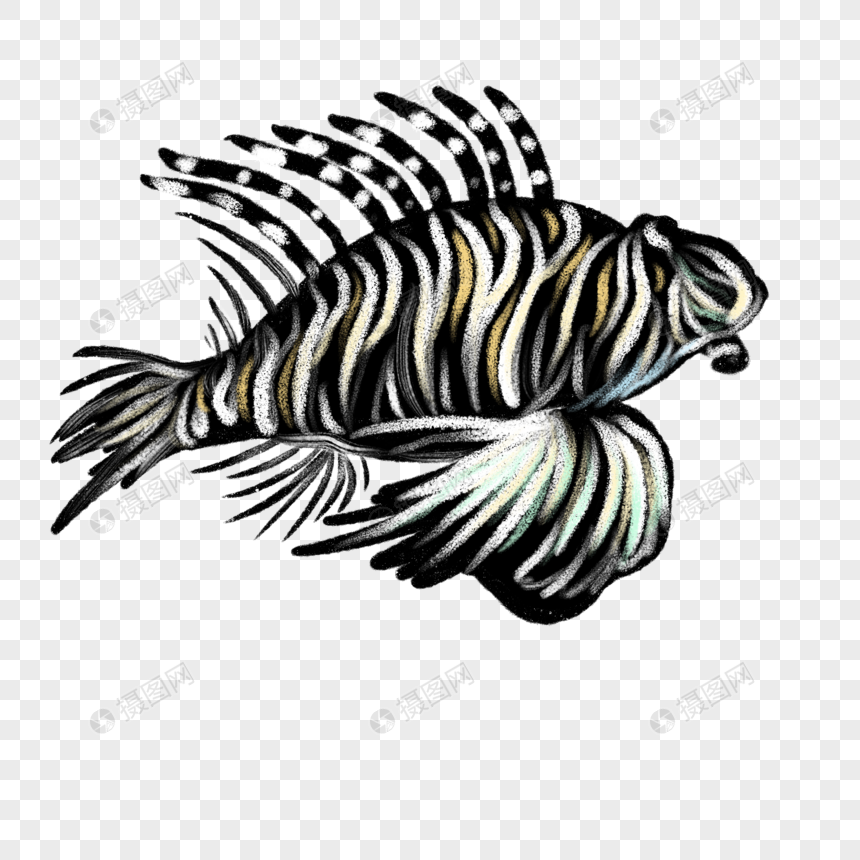 卡通狮子鱼创意插图