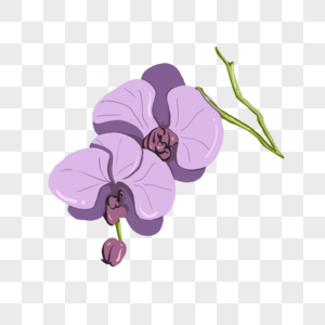 手绘紫色花卉图片