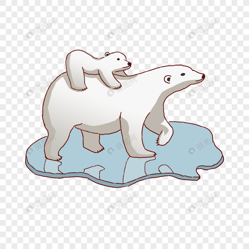 世界海洋日北极熊图片