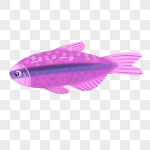 紫色热带鱼图片