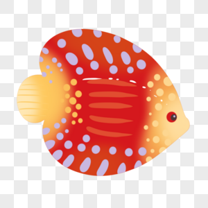 红色渐变热带鱼高清图片