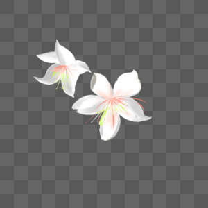 花元素素材下载 正版素材401304385 摄图网