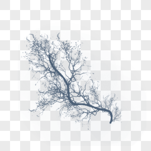 歪斜的花树树枝歪斜的高清图片