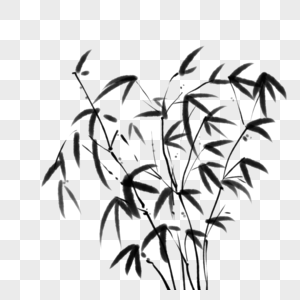 黑白竹子图片
