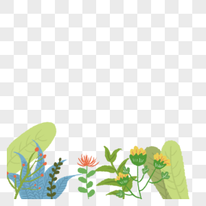 小清新植物花卉插画图片