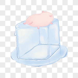 手绘夏天冰块上纳凉的猪猪图片